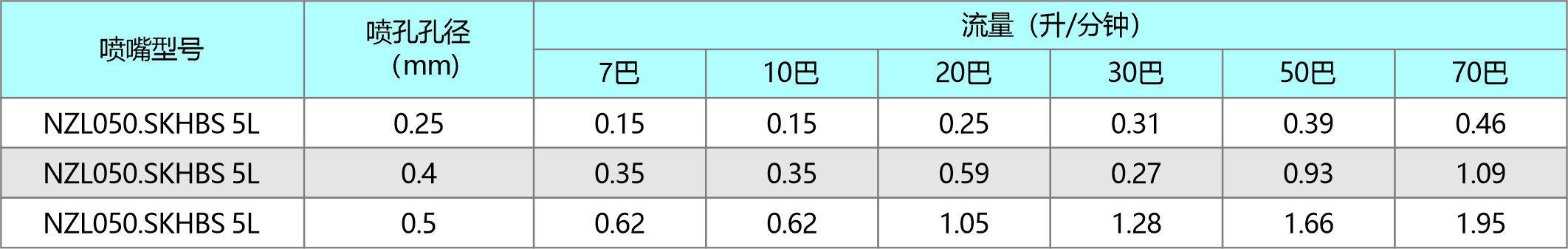 双孔针型喷嘴.jpg